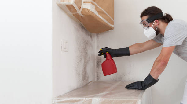 Professional Crawl Space Mold Remediation technician working in Martinsville, NJ