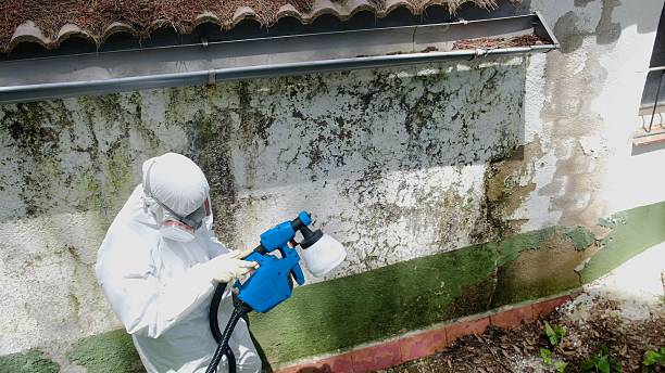 Top rated local Crawl Space Mold Remediation specialists in Martinsville, NJ